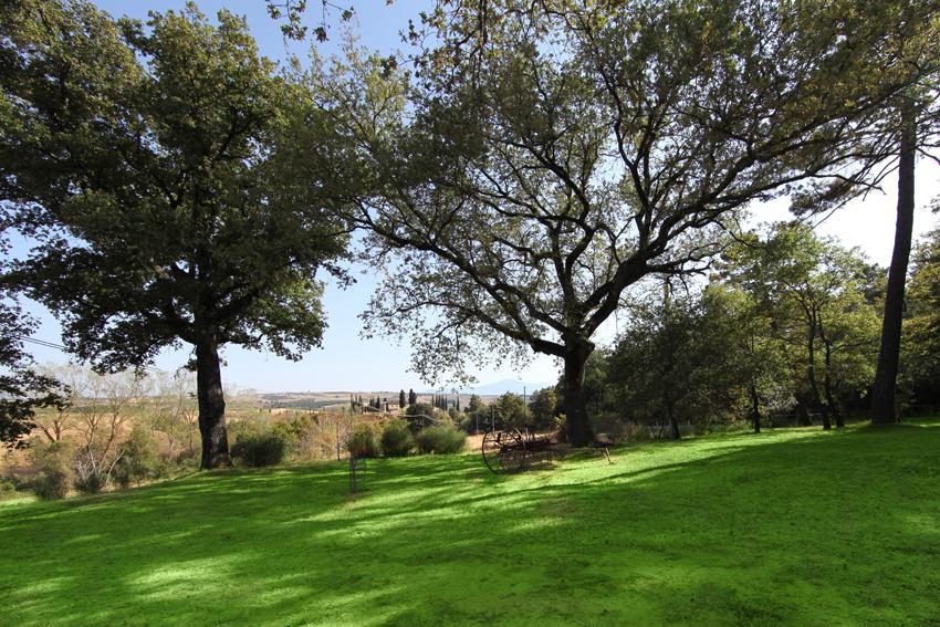 Agriturismo Torrenieri Da Alessandro Pienza Ngoại thất bức ảnh
