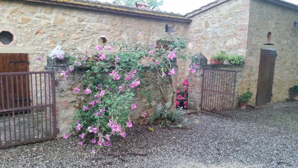 Agriturismo Torrenieri Da Alessandro Pienza Ngoại thất bức ảnh